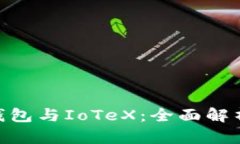 MetaMask钱包与IoTeX：全面解析与使用指南